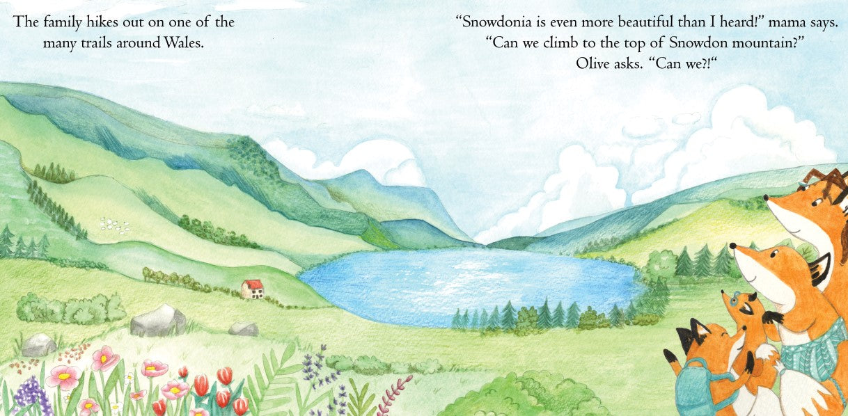 The Travelling Fox Twins: Journey to Wales