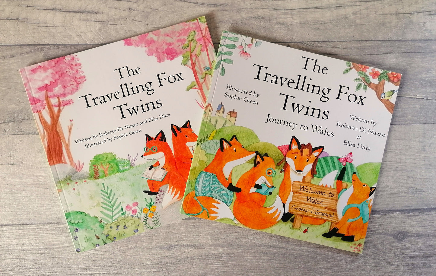 The Travelling Fox Twins: Journey to Wales