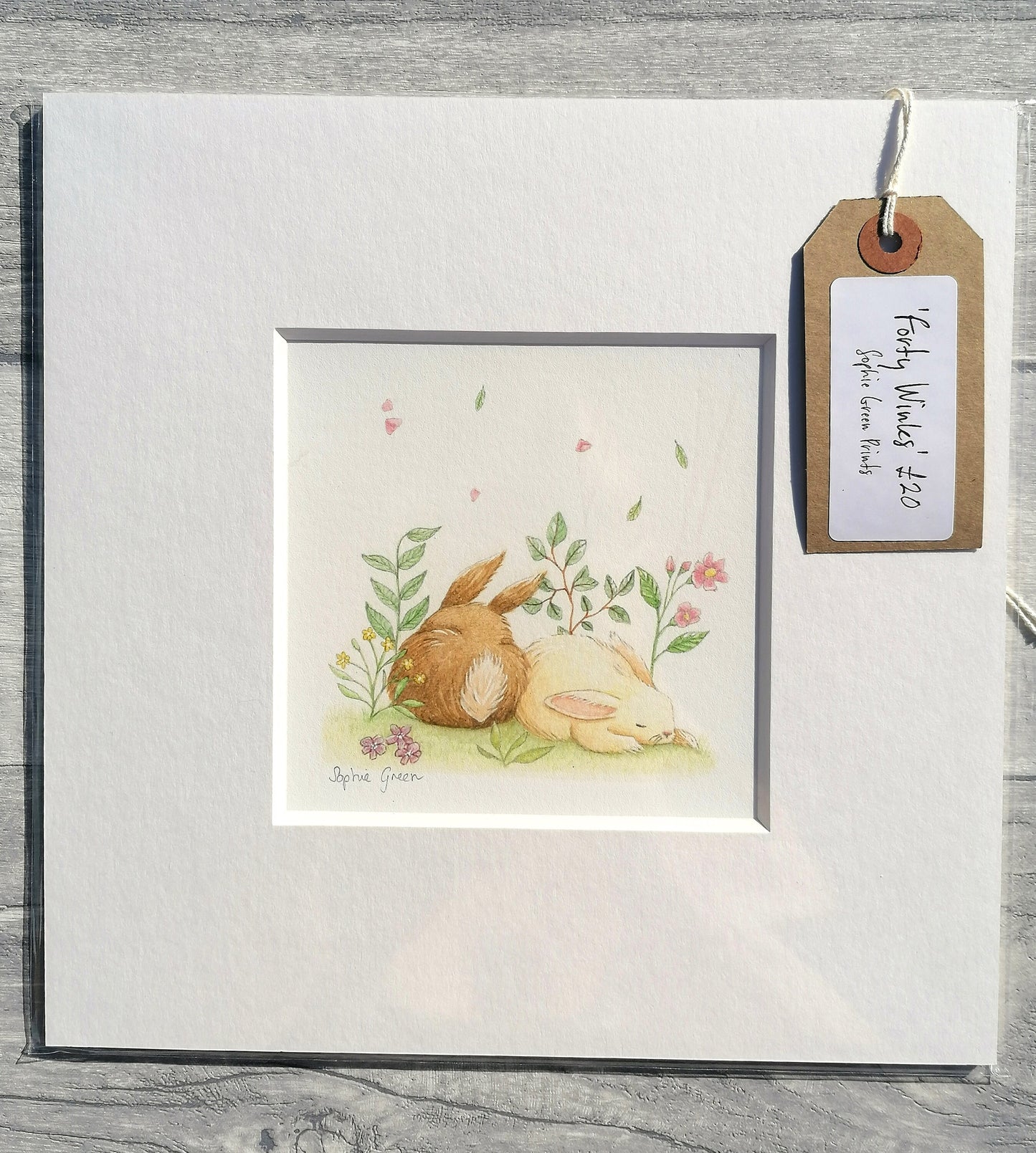 Forty Winks - Mounted Print