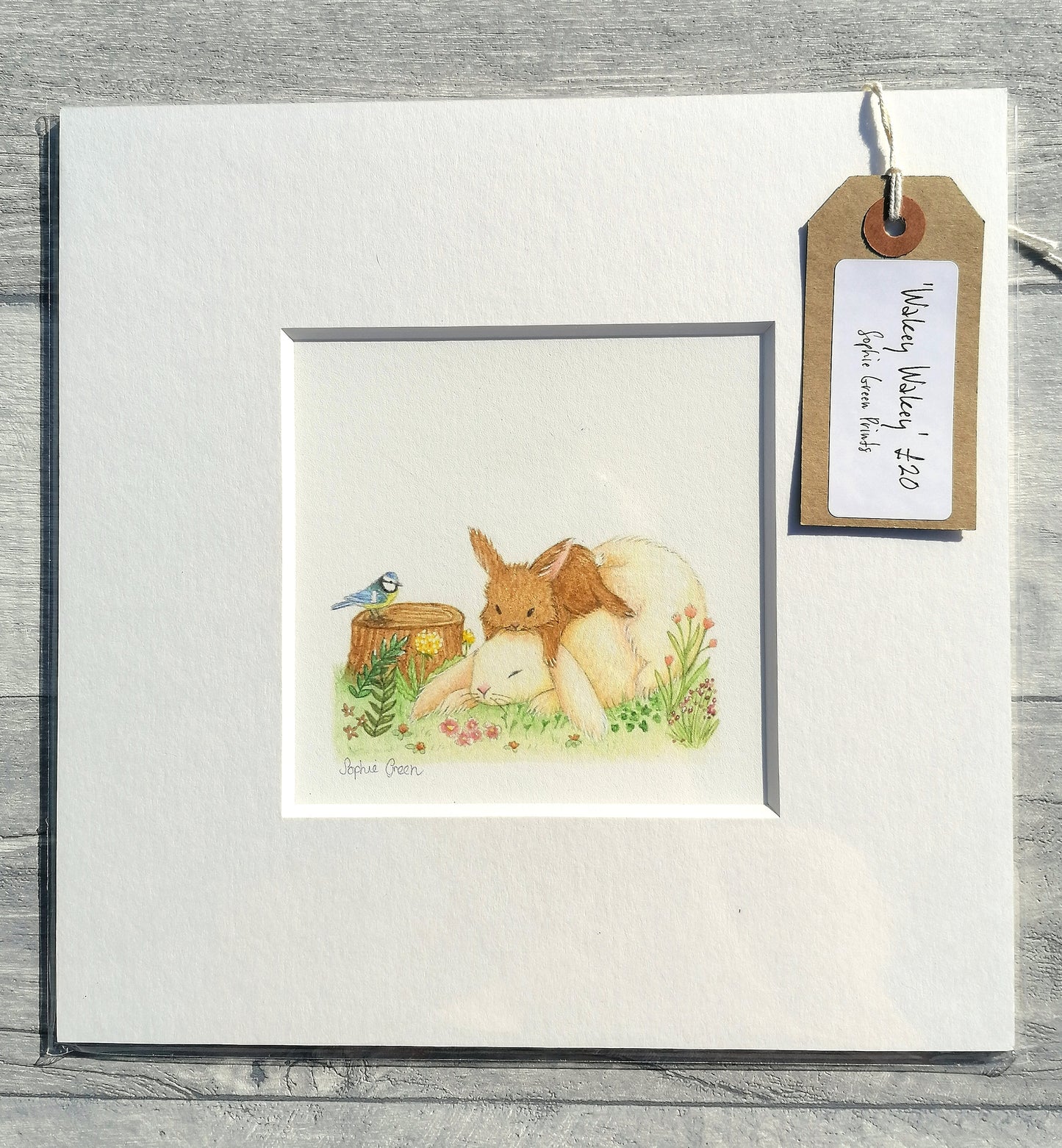 Wakey Wakey - Mounted Print