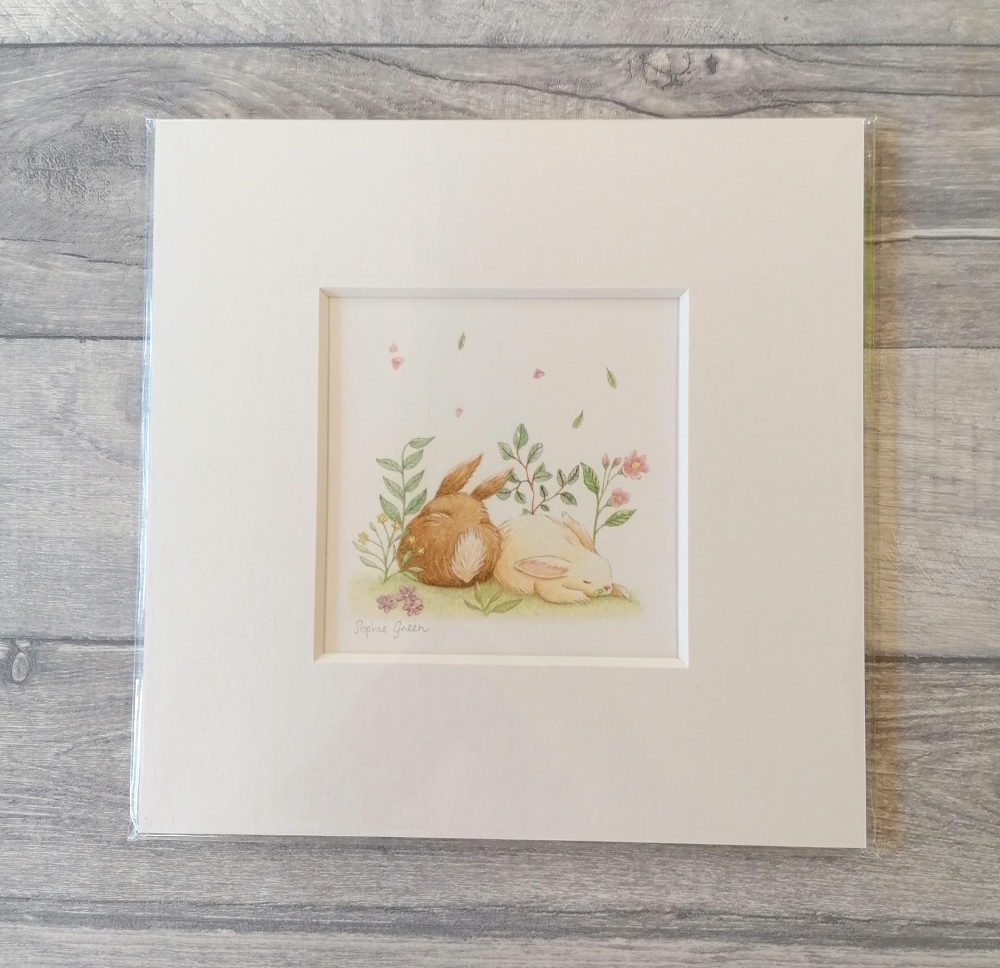 Forty Winks - Mounted Print