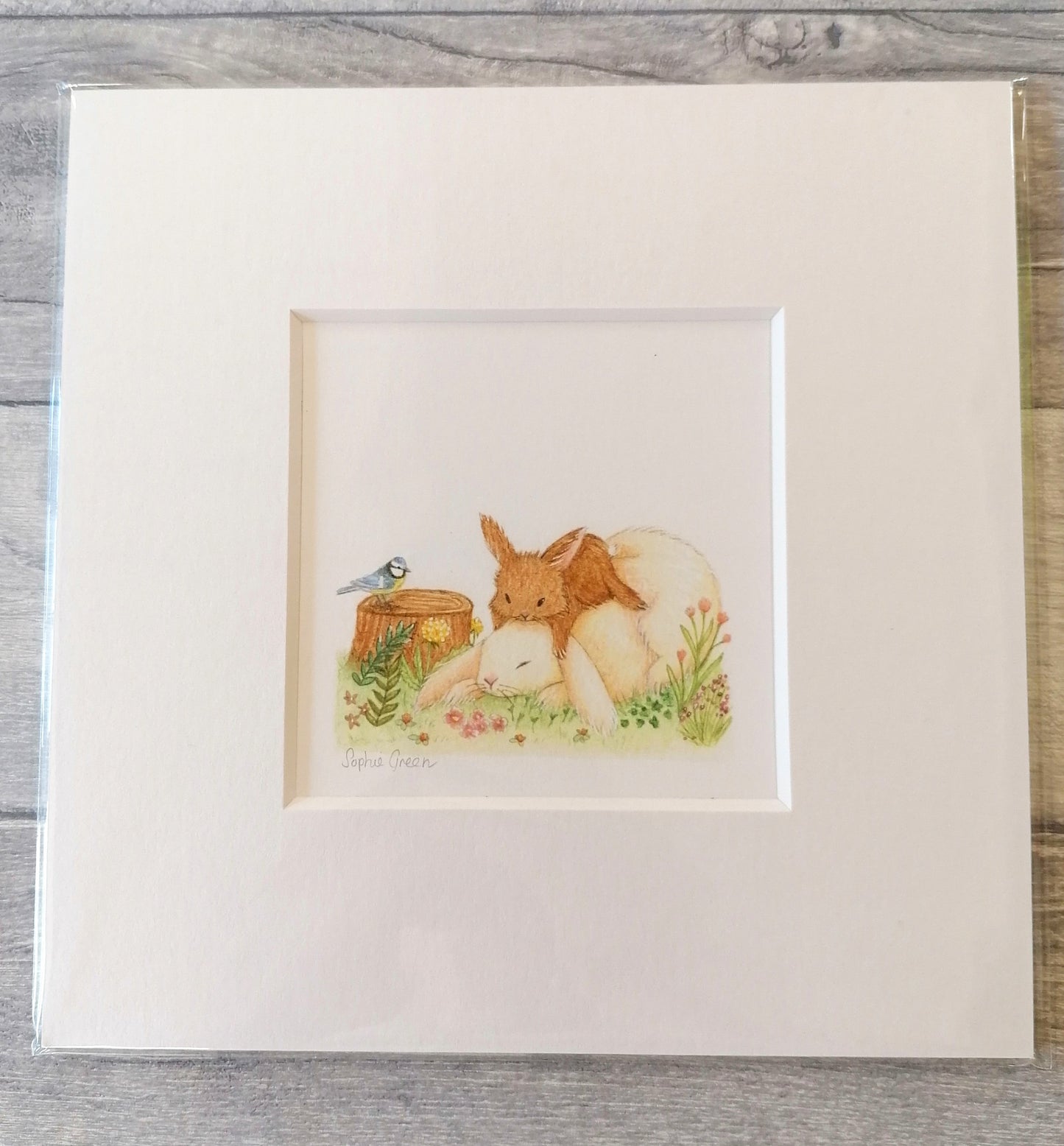 Wakey Wakey - Mounted Print