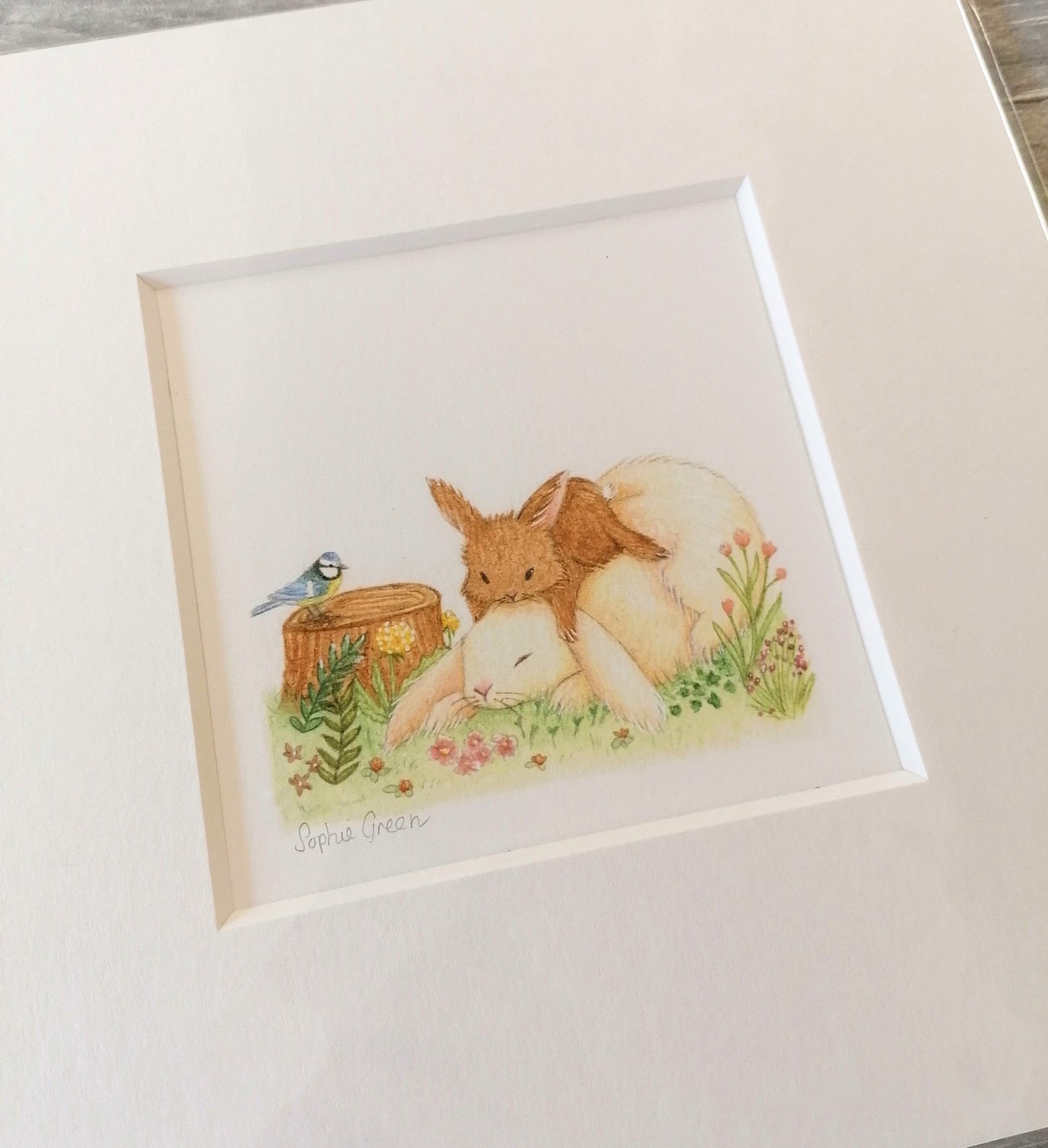 Wakey Wakey - Mounted Print