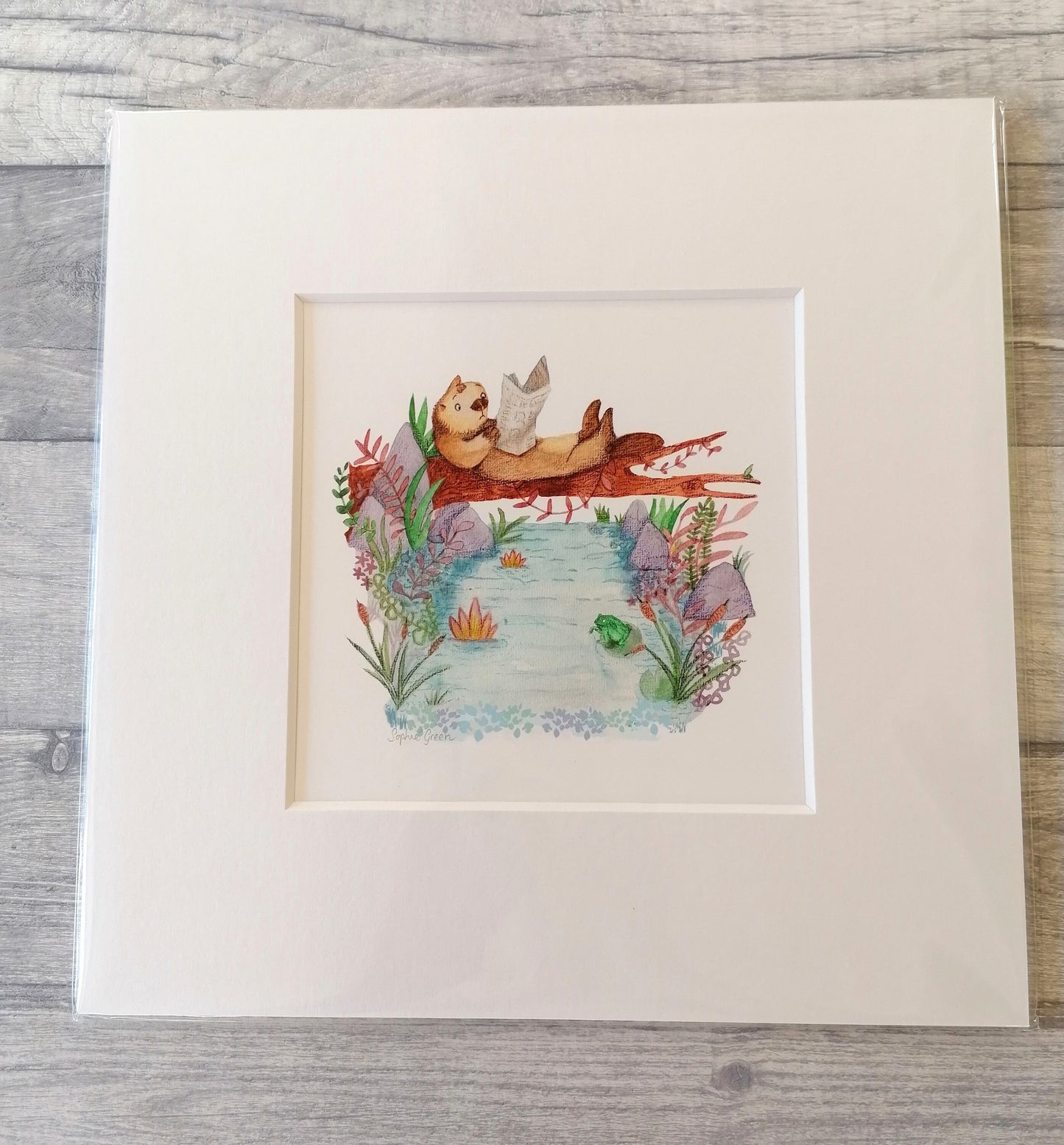 Daily Otter - Mounted Print