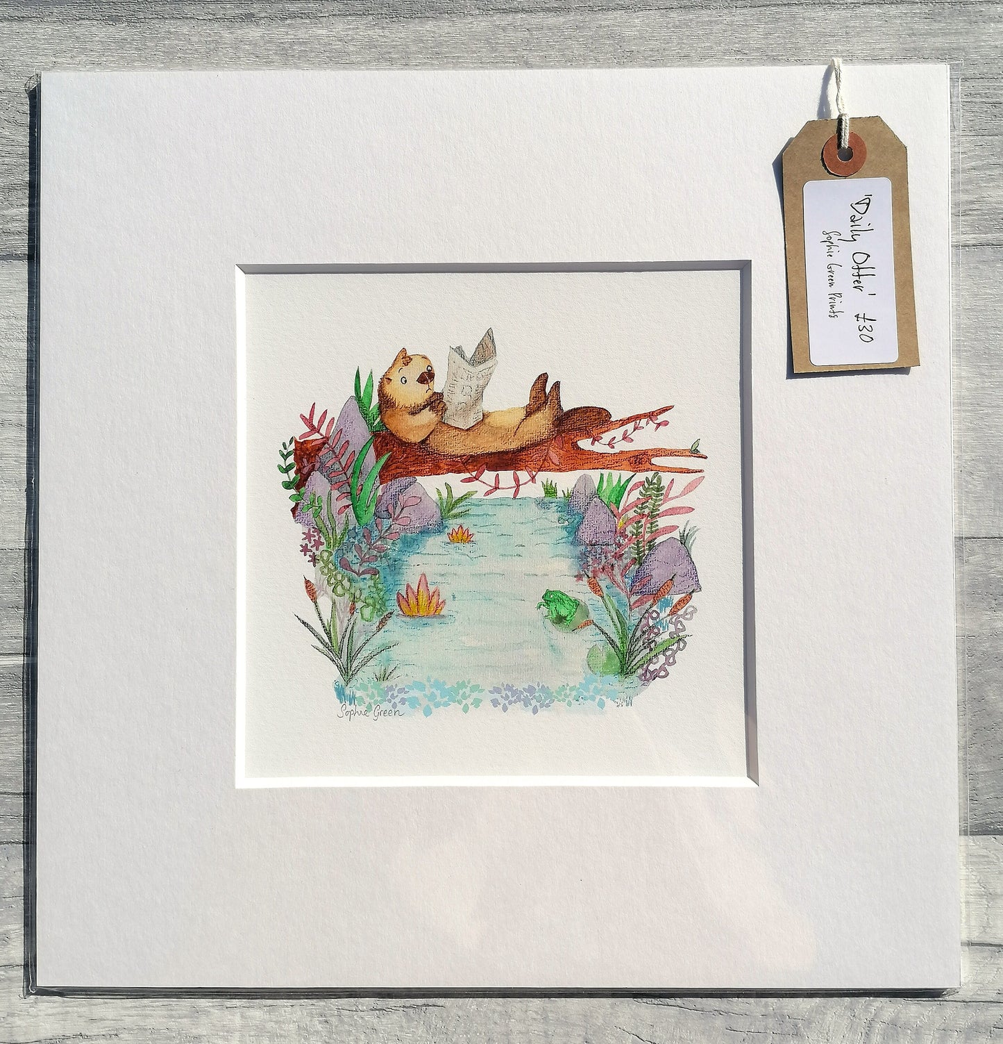 Daily Otter - Mounted Print