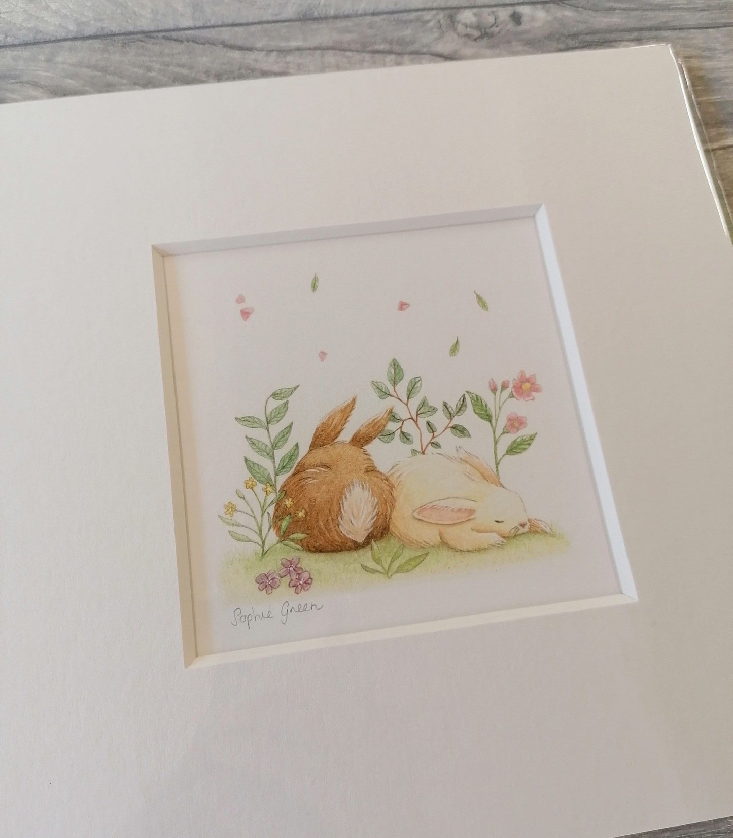 Forty Winks - Mounted Print