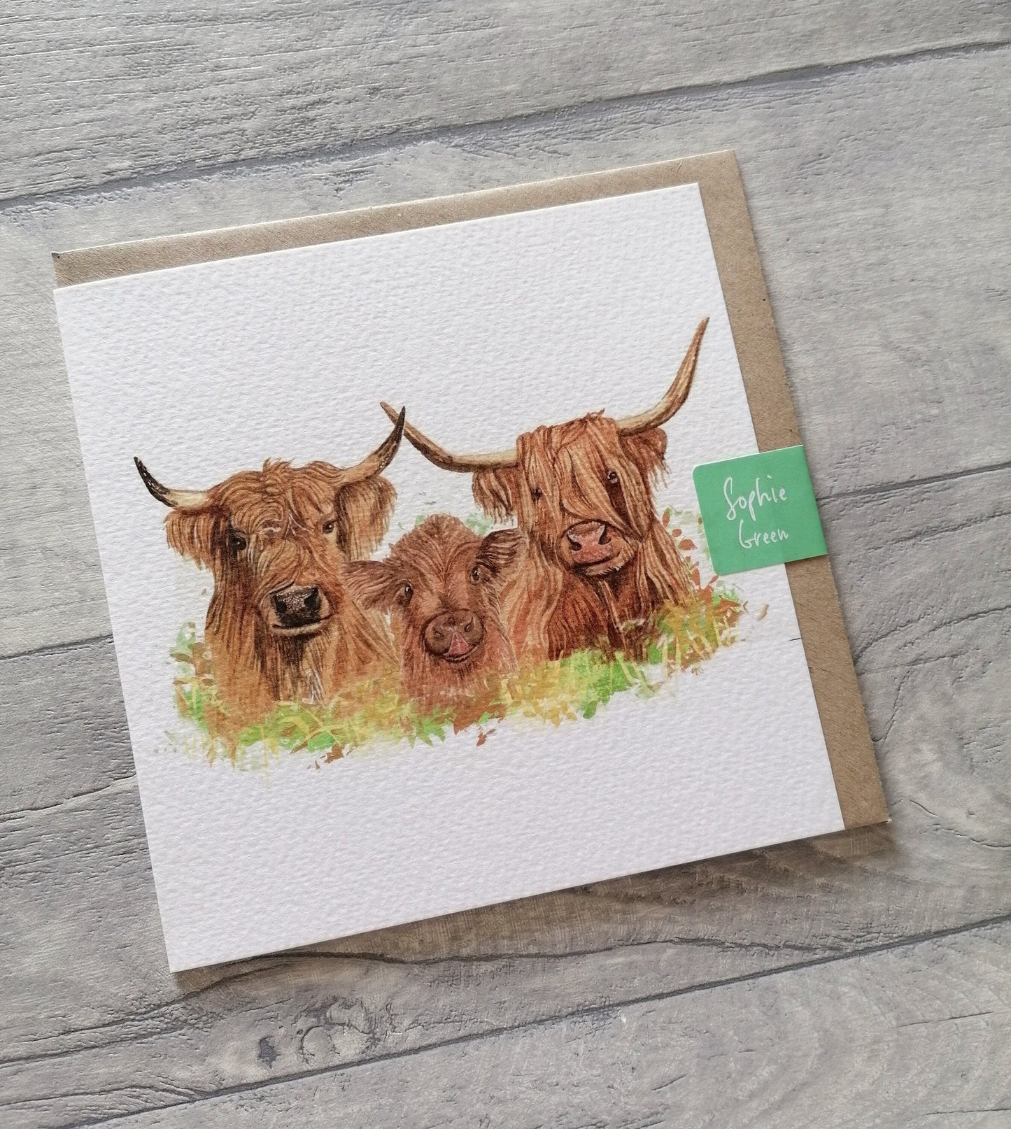 Highland Moos - Greeting Card