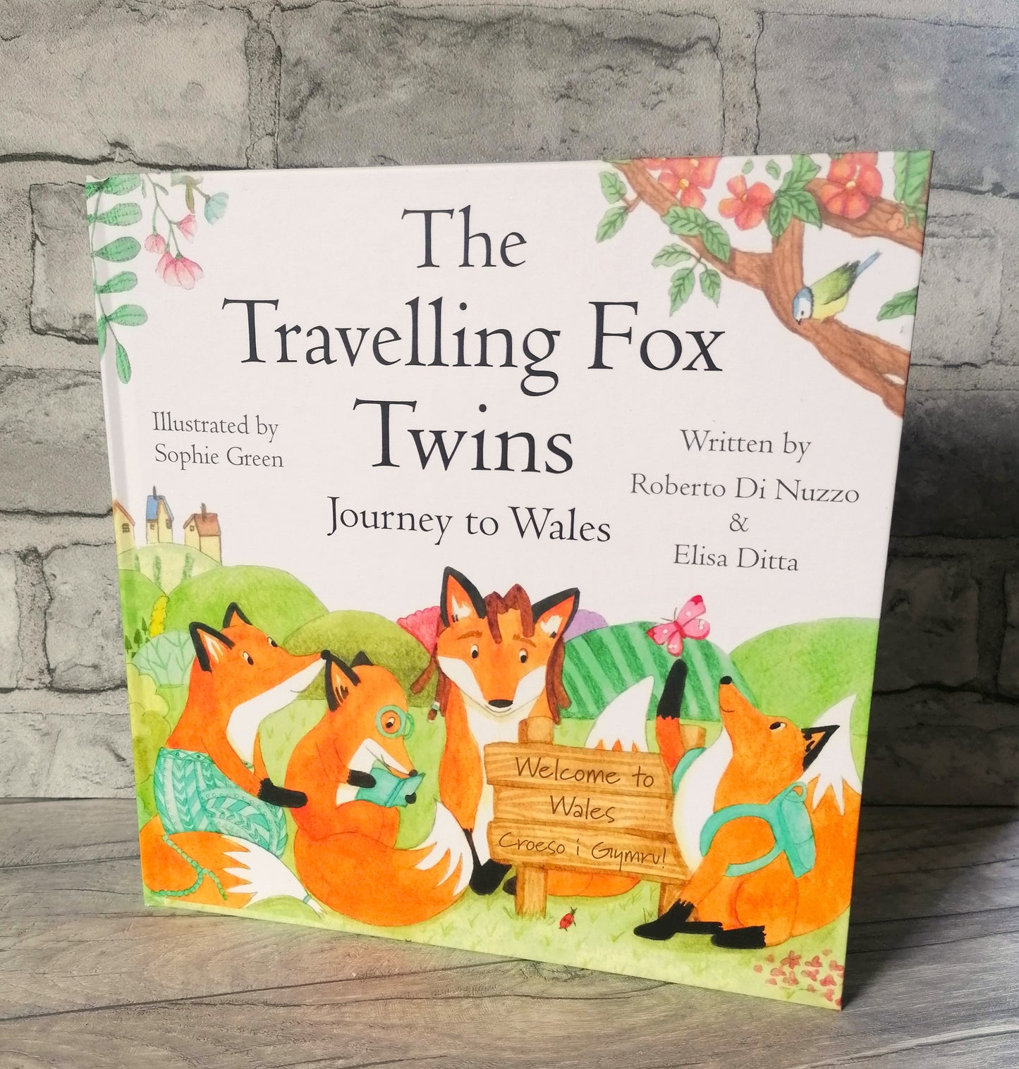 The Travelling Fox Twins: Journey to Wales