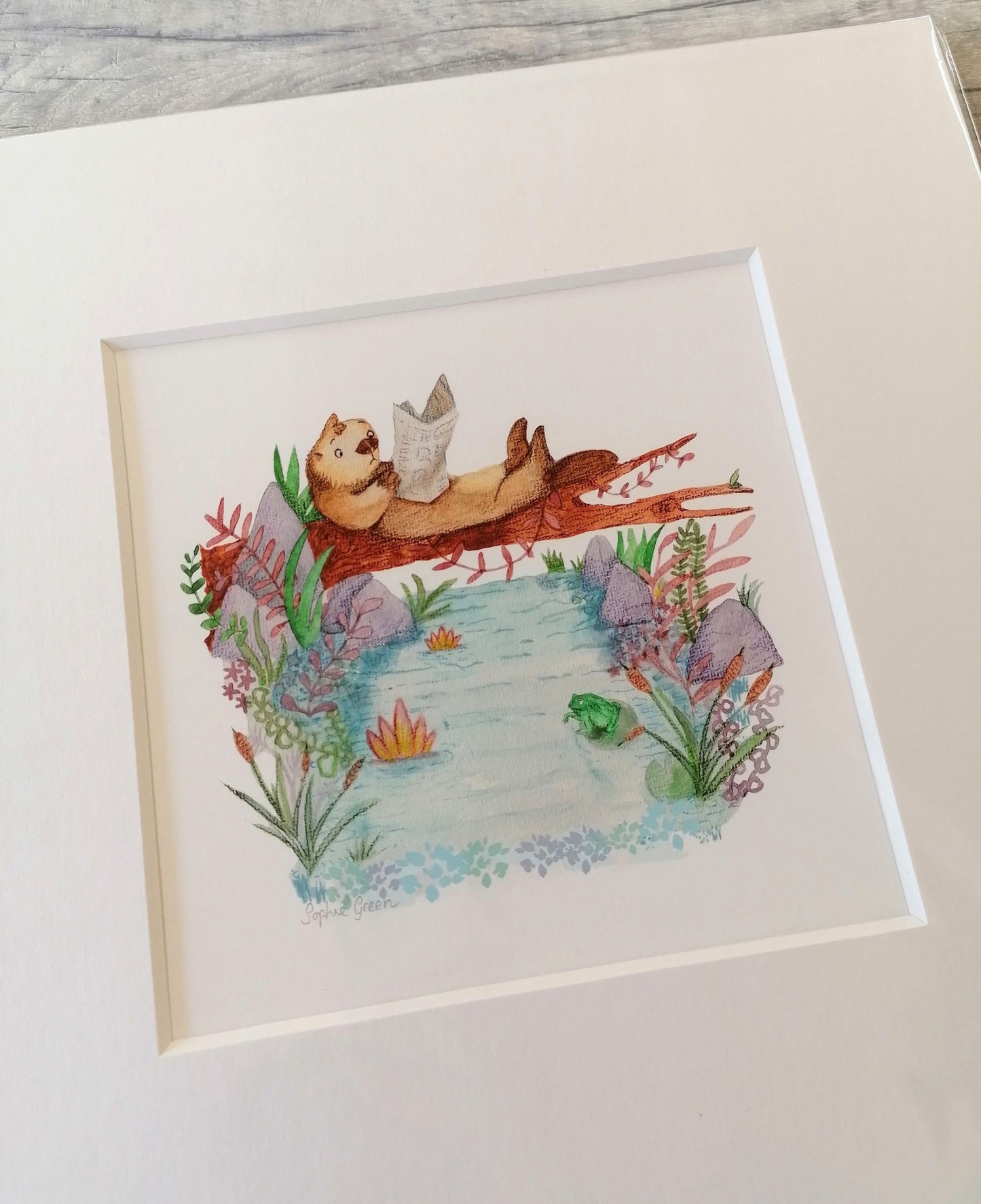 Daily Otter - Mounted Print